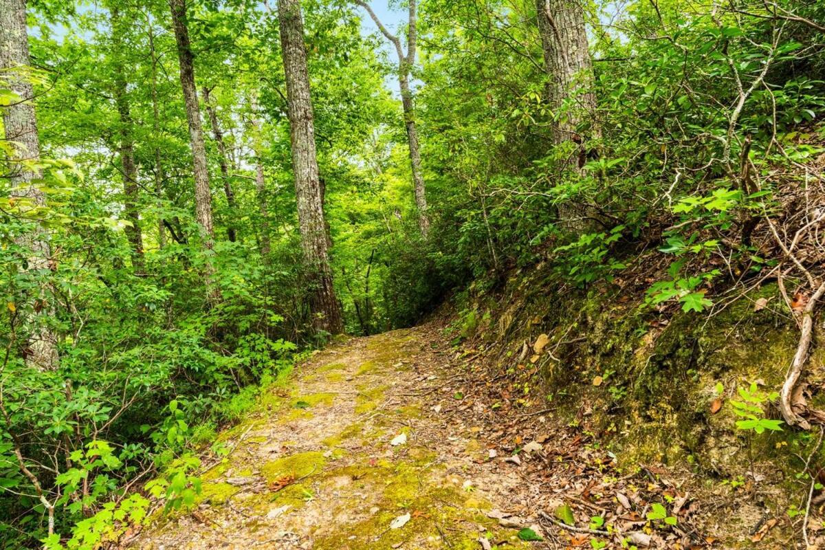 Cabin 5 Studio Cabin With Hot Tub, Water View And Fire Pit Villa Sevierville Exterior photo